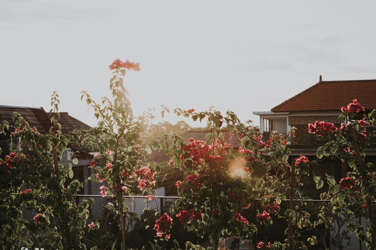 New 4 Bedroom 5 Min Walk To Berawa Beach Enclosed Livng 캉구 외부 사진